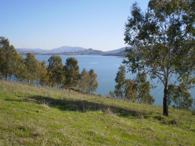 Photos for house 638746