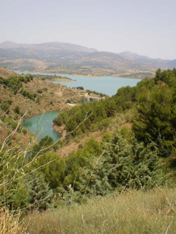 Photos for house 638746