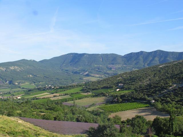 Photos for house 638794