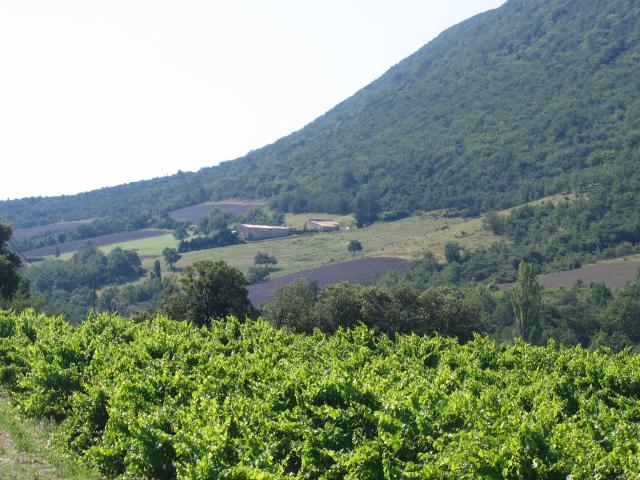 Photos for house 638794