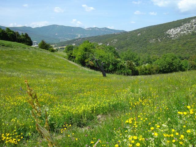 Photos for house 638794