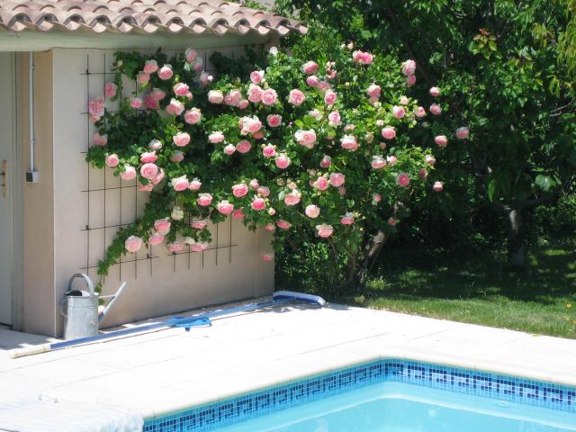 Photos for house 638815