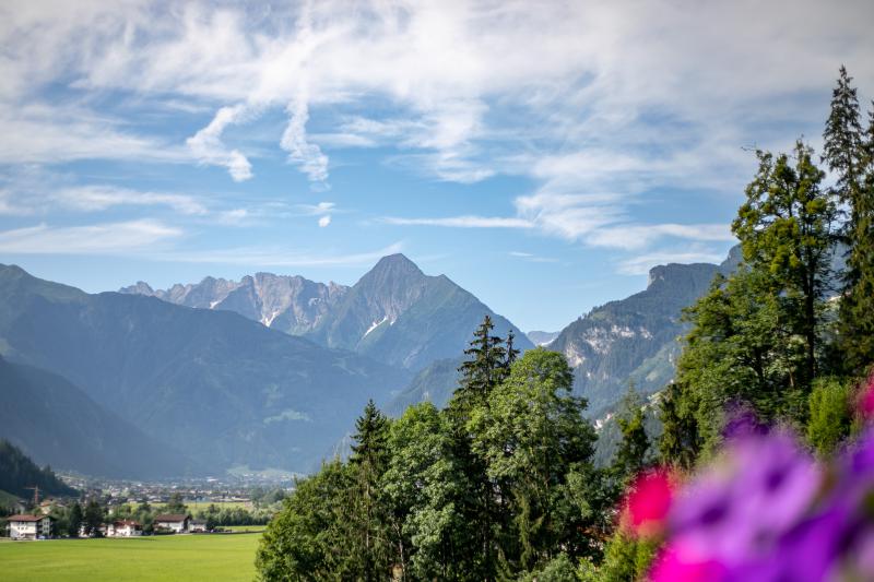 Photos for house 638868