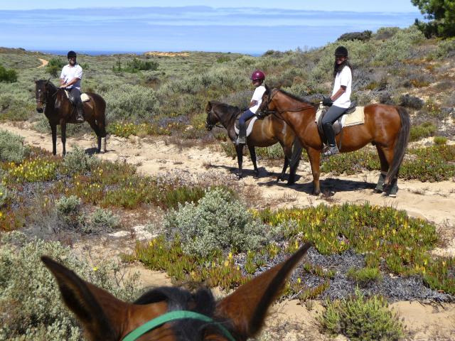 Photos for house 638891