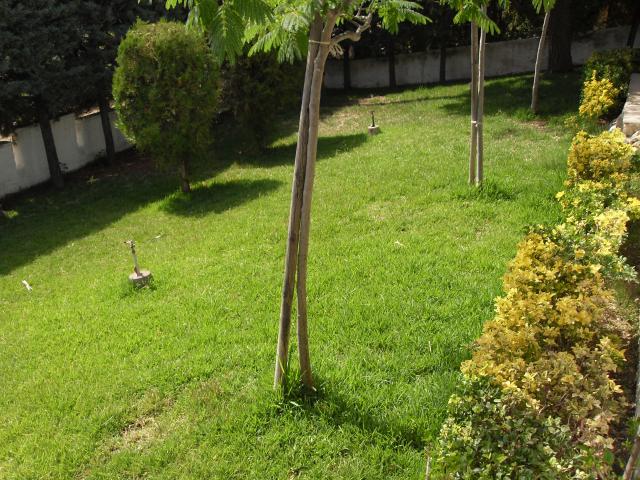 Photos for house 638906