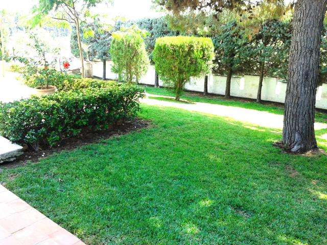 Photos for house 638906