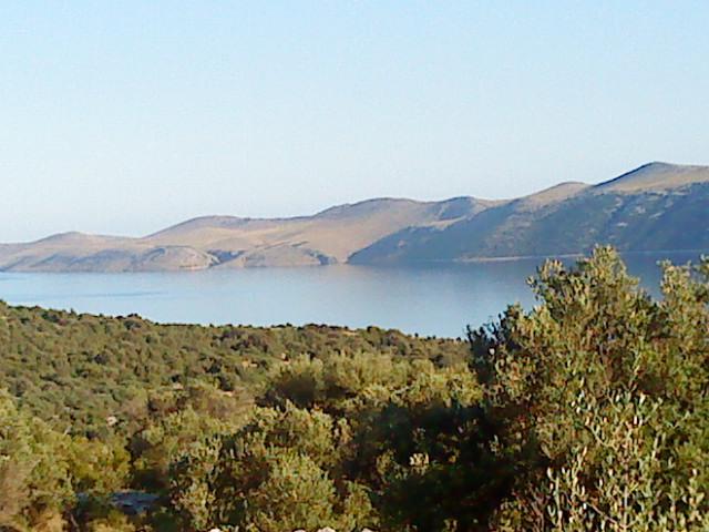 Photos for house 638917