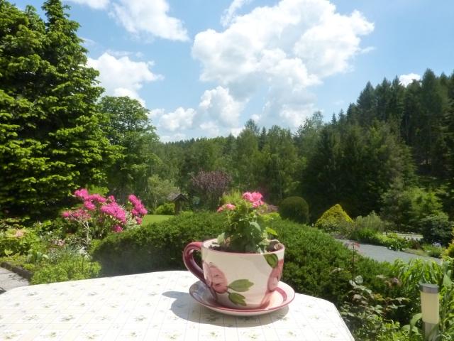 Photos for house 638929