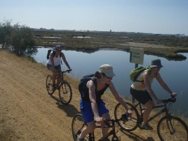 Photos for house 638930