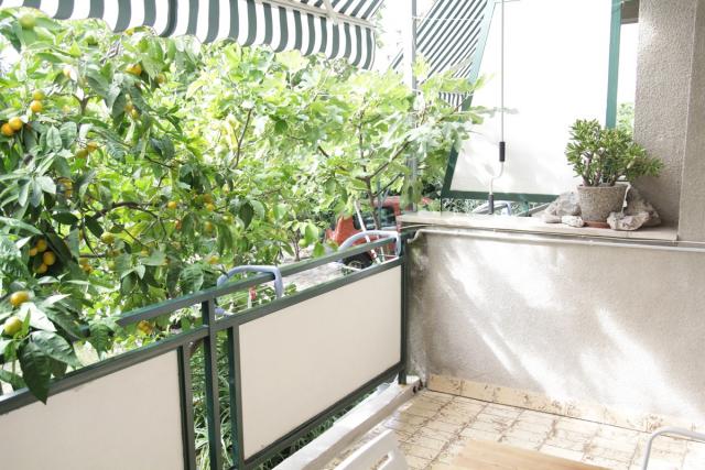 Photos for house 638932