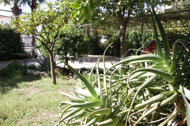 Photos for house 638932