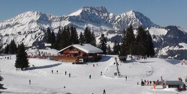 Photos for house 639047