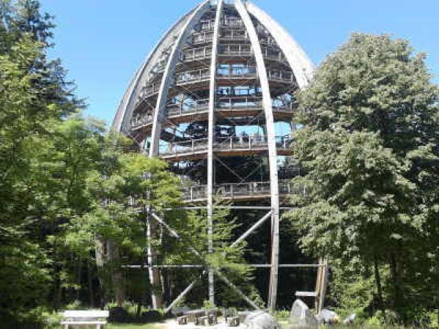 Photos for house 639126