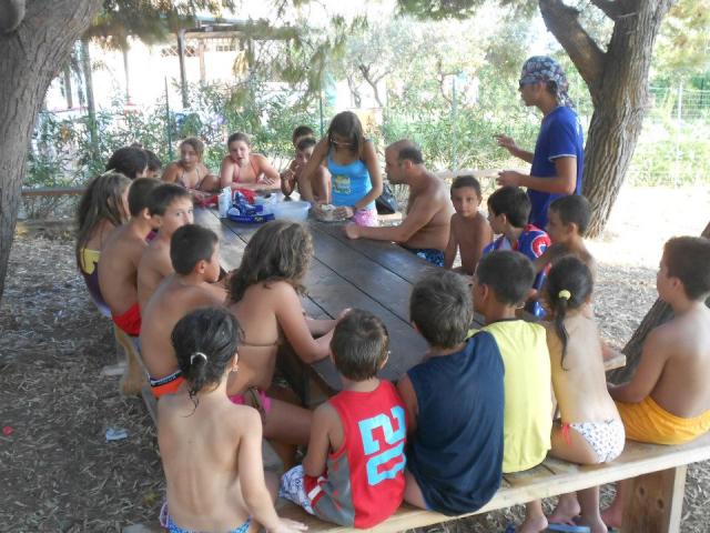 Photos for house 639251