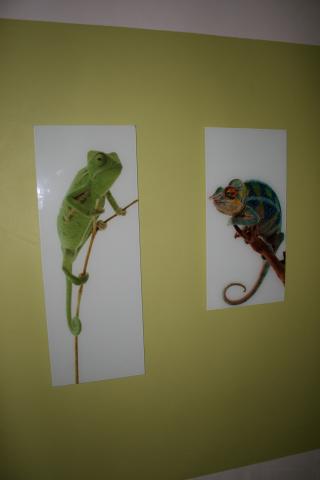 Photos for house 639267