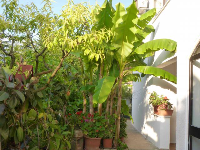 Photos for house 639348