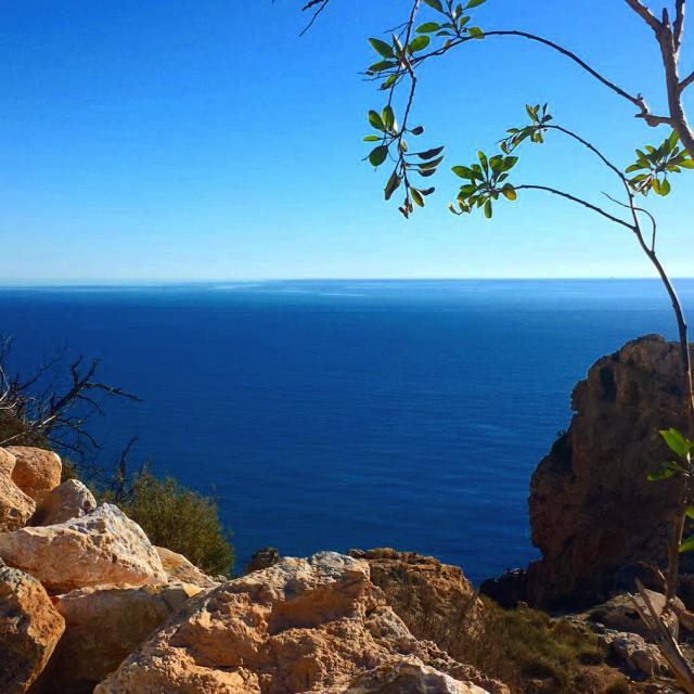 Photos for house 639353