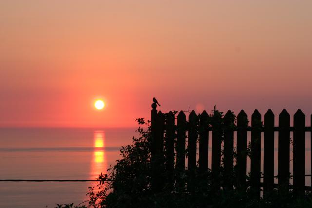 Photos for house 639365