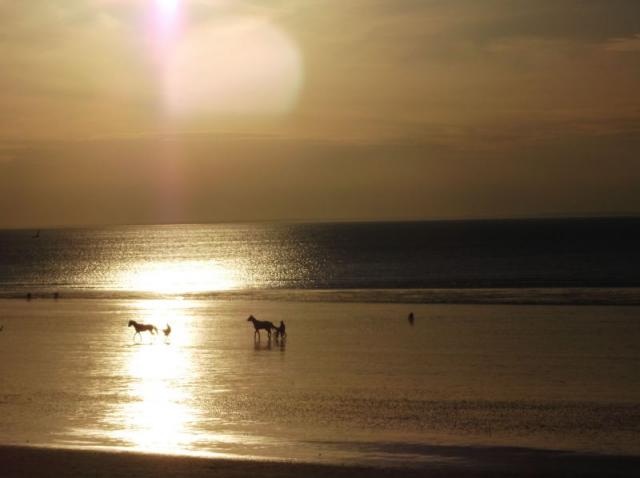 Photos for house 639373