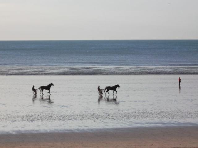 Photos for house 639373