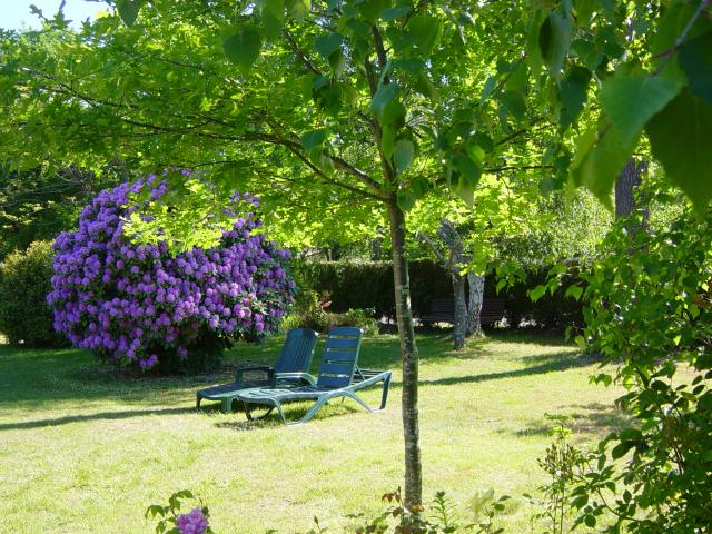 Photos for house 639375