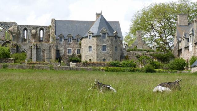 Photos for house 639416