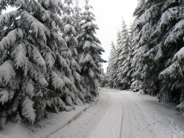 Photos for house 639475