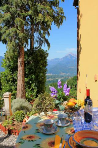 Photos for house 639481