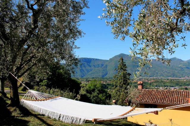 Photos for house 639481