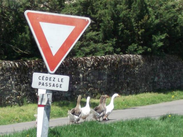 Photos for house 639602