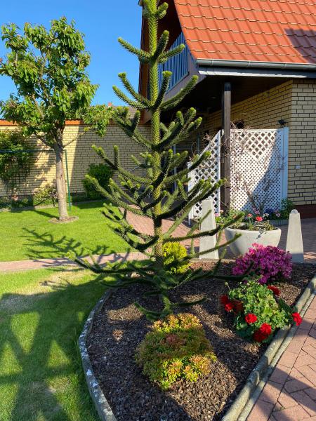 Photos for house 639604