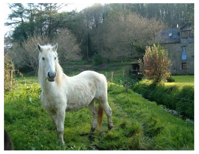 Photos for house 639611