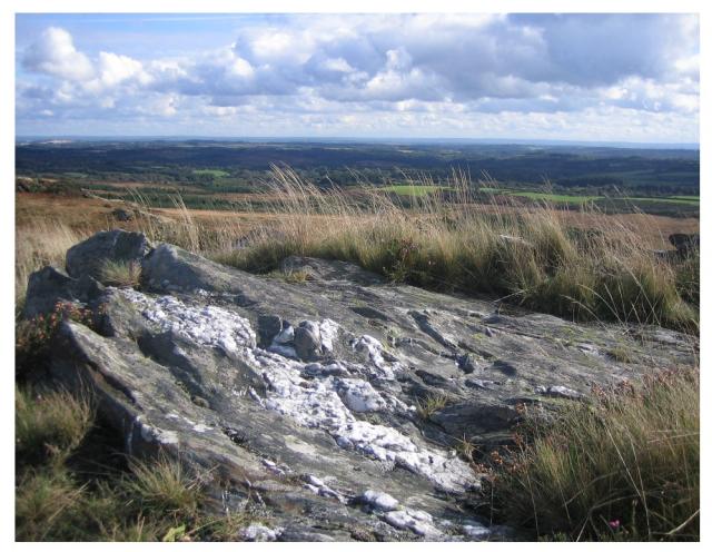 Photos for house 639611