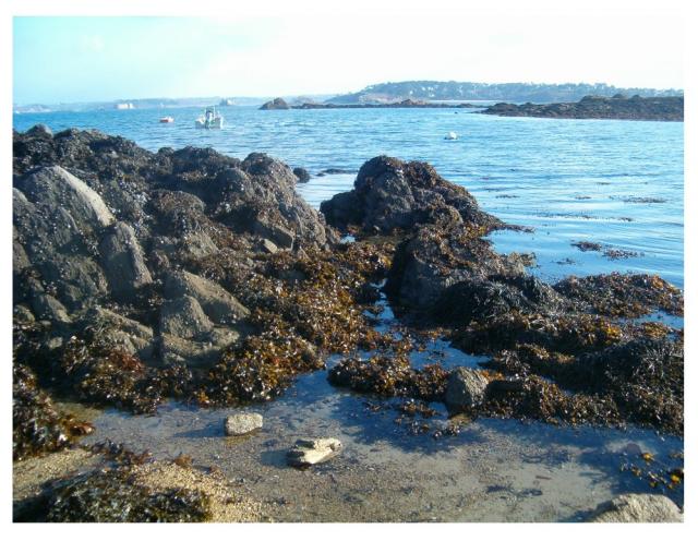 Photos for house 639611