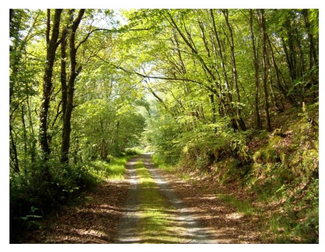 Photos for house 639611