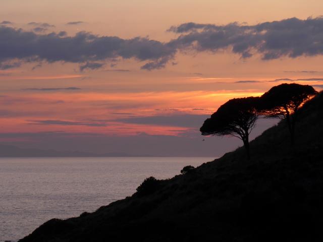 Photos for house 639726