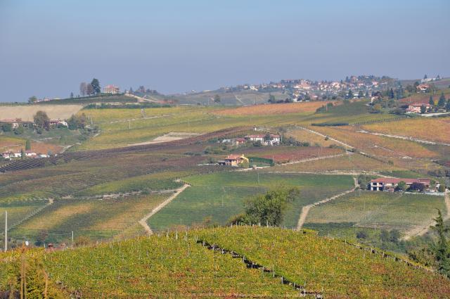 Photos for house 639747