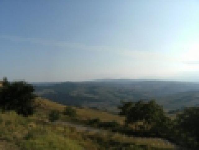 Photos for house 639769