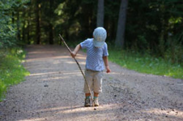 Photos for house 639779