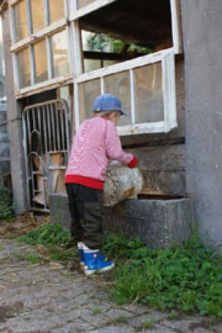 Photos for house 639779