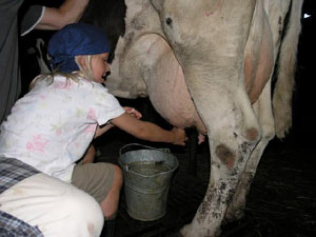 Photos for house 639779