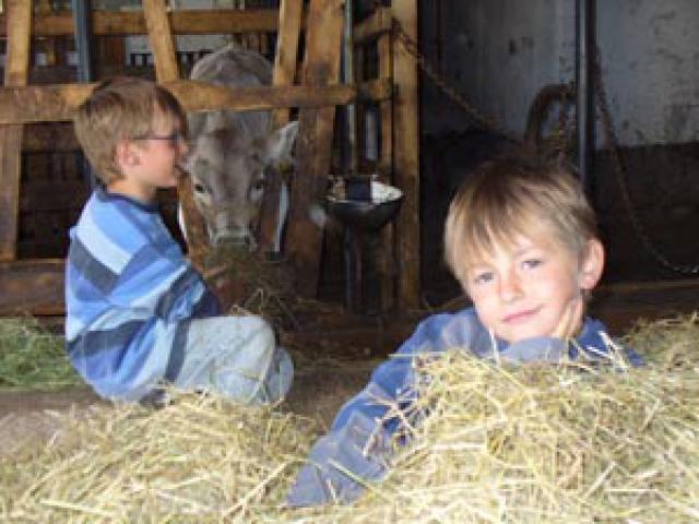 Photos for house 639779