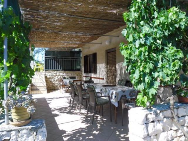 Photos for house 639781