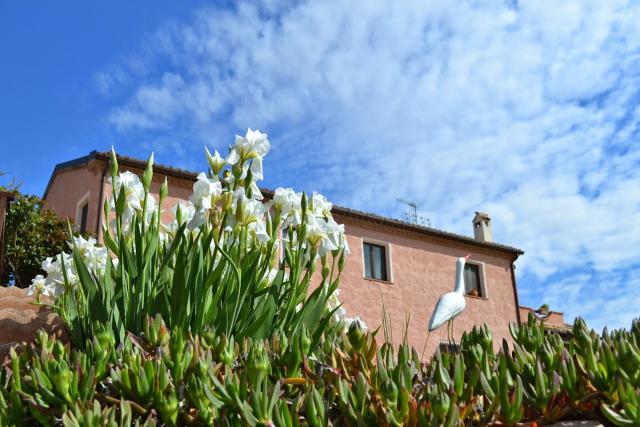 Photos for house 639864