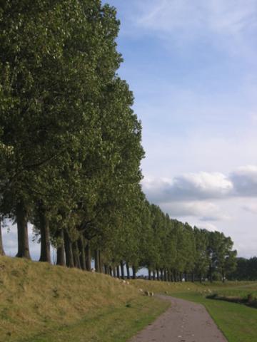 Photos for house 639893