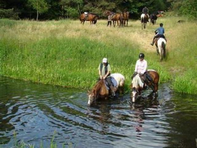 Photos for house 639920