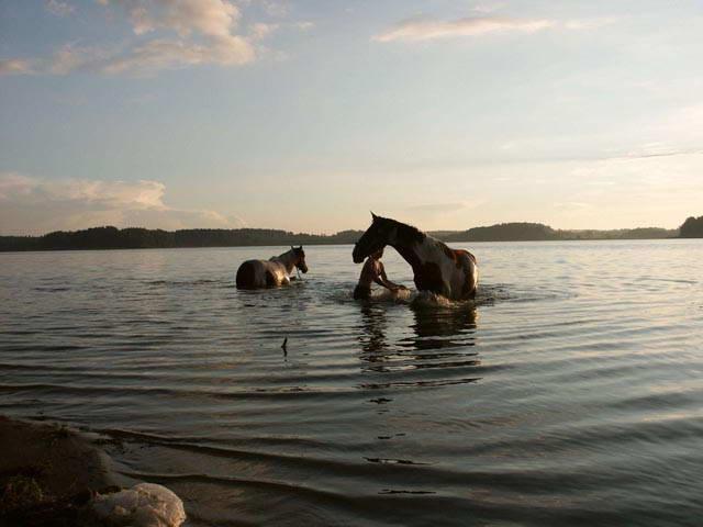 Photos for house 639920