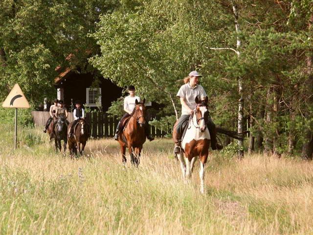 Photos for house 639920