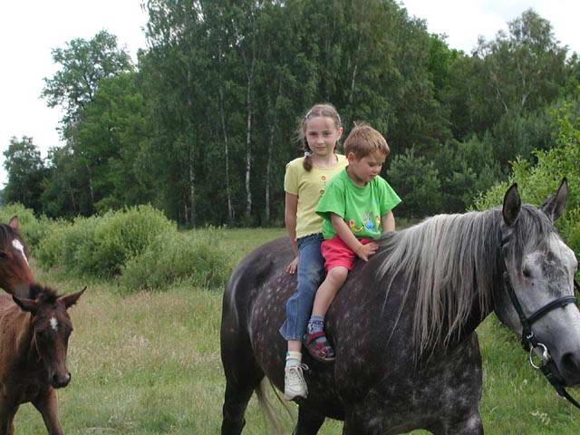 Photos for house 639920