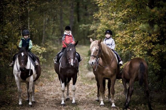 Photos for house 639920